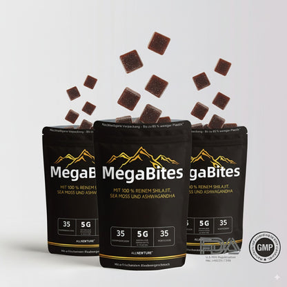 MegaBites