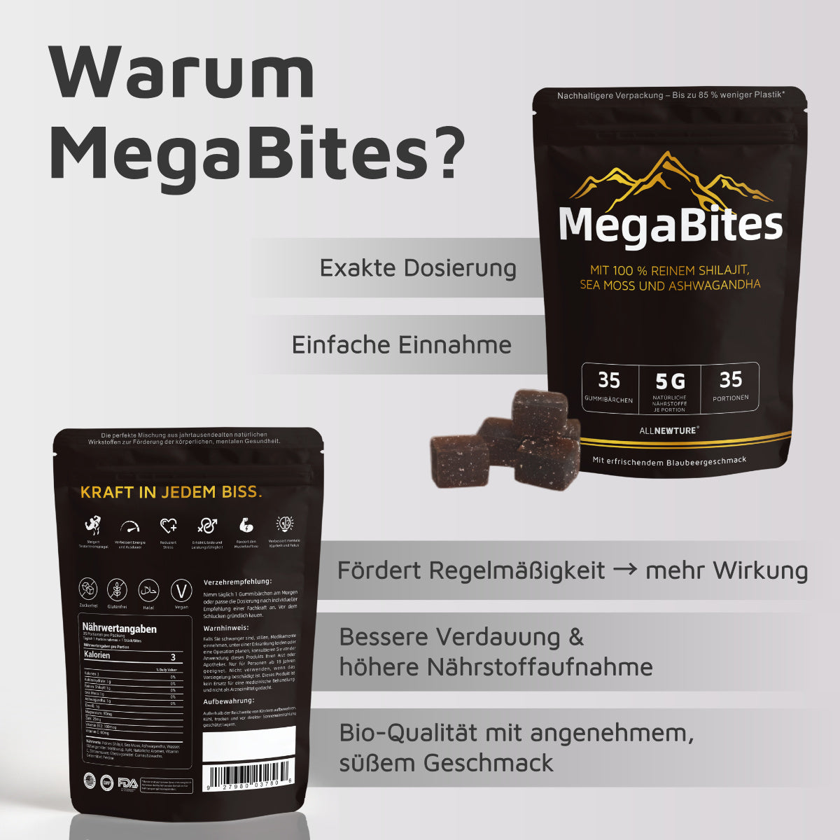 MegaBites