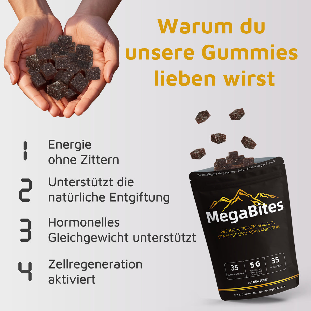 MegaBites