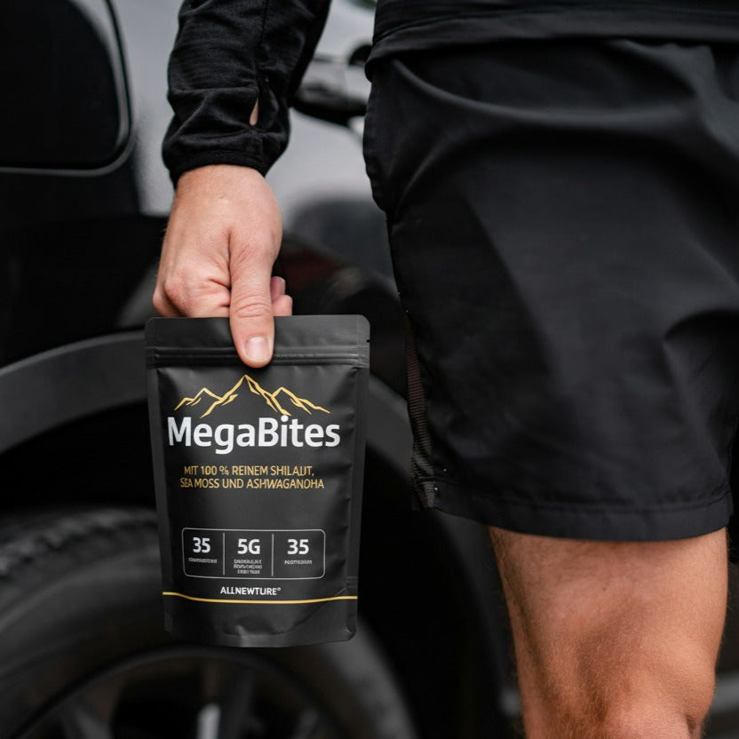MegaBites